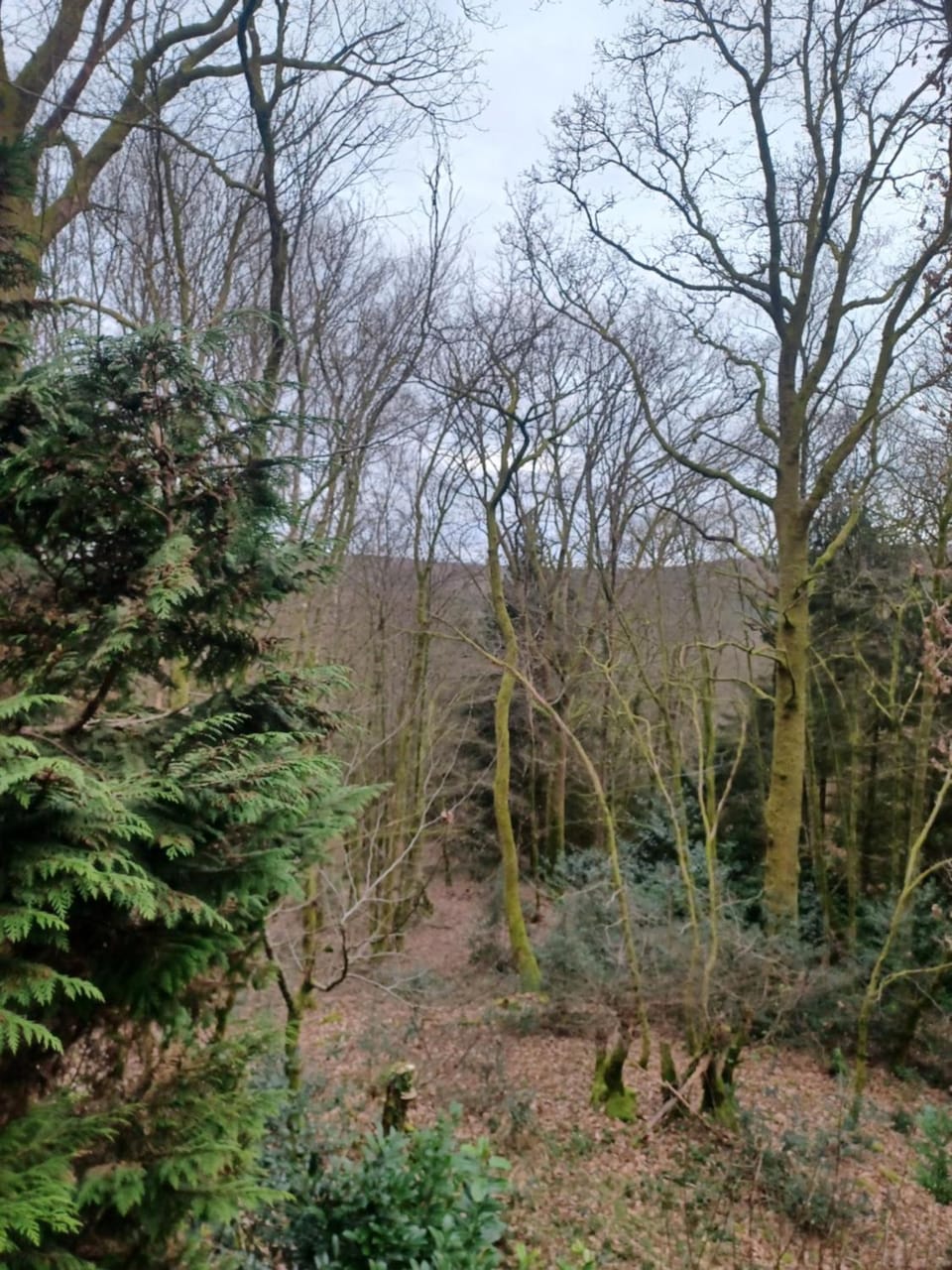 vogelzang House in Wallonia, Belgium