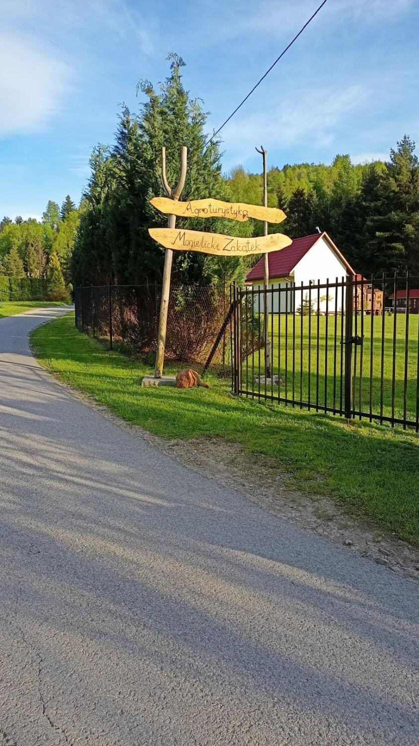 Spring, Day, Neighbourhood, Natural landscape