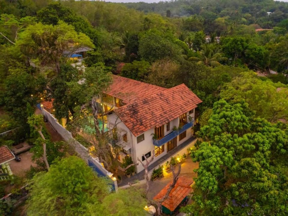 Day, Natural landscape, Bird's eye view, Garden