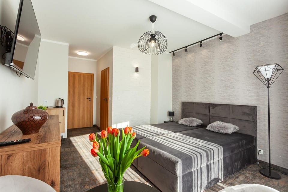 Bed, TV and multimedia, Photo of the whole room