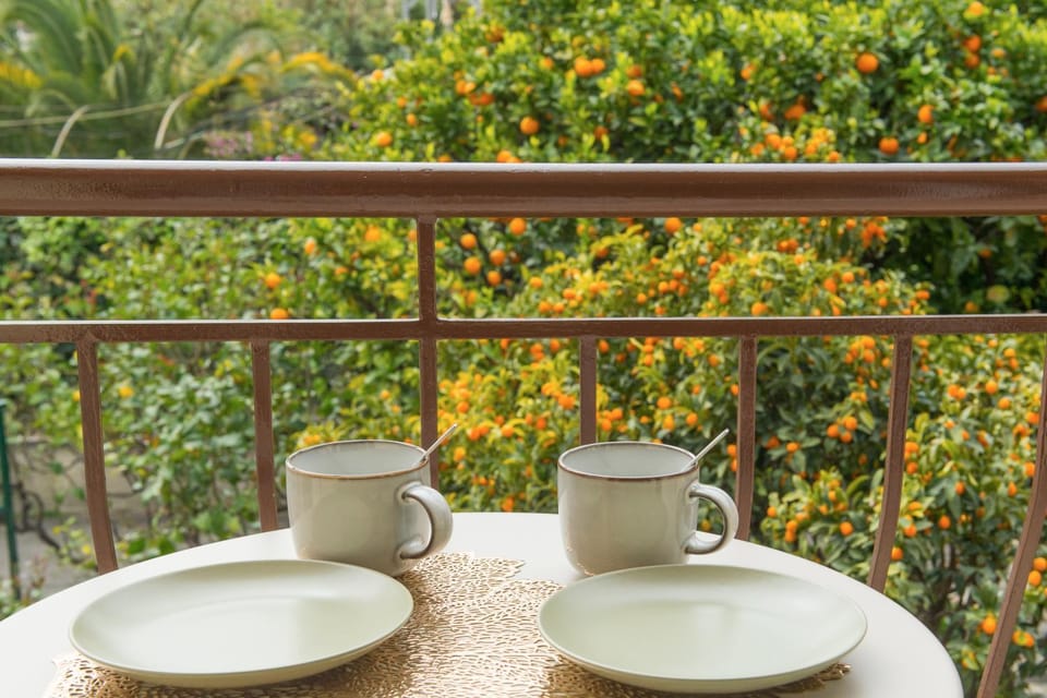 Balcony/Terrace, Balcony/Terrace