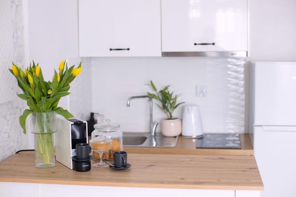 2 x1 BR Deluxe Studio Apartments with AC only 900 m to Central Station Apartment in Warsaw