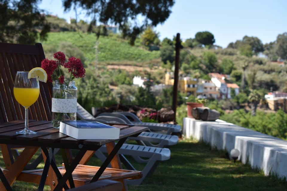 Natural landscape, Garden, Garden view