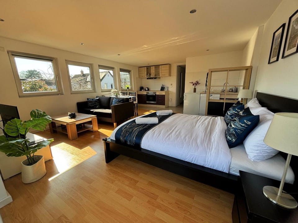 Kitchen or kitchenette, Living room, Photo of the whole room, Bedroom