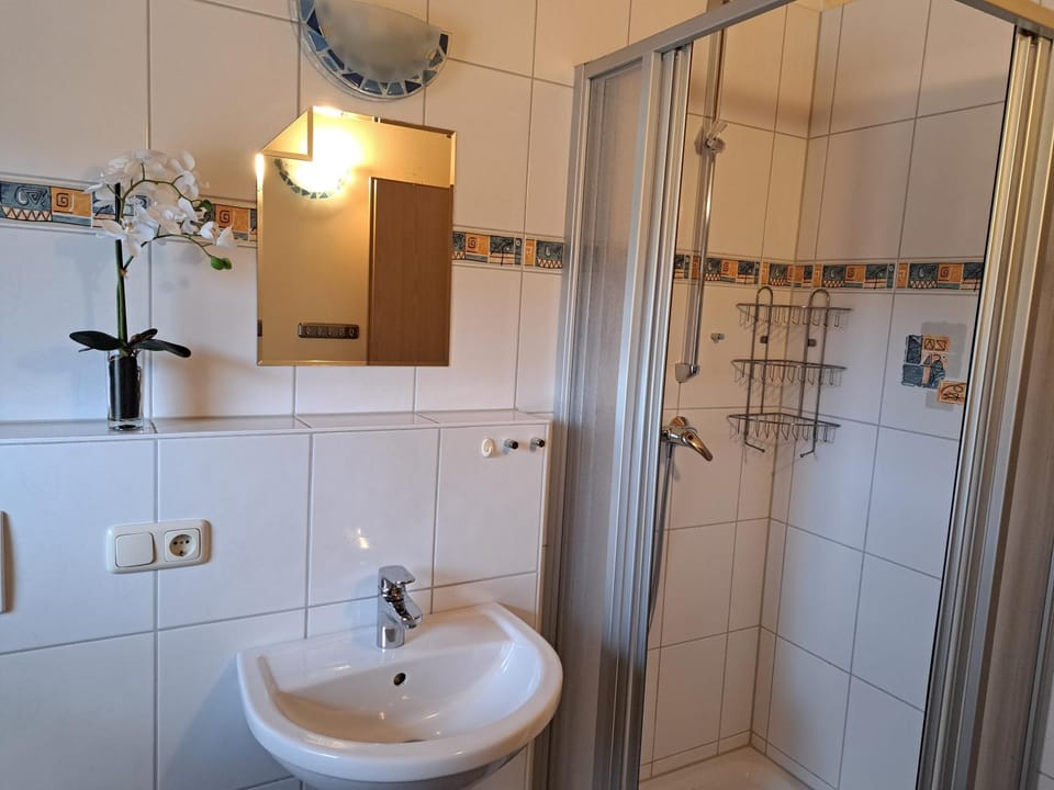 Bathroom, Living room