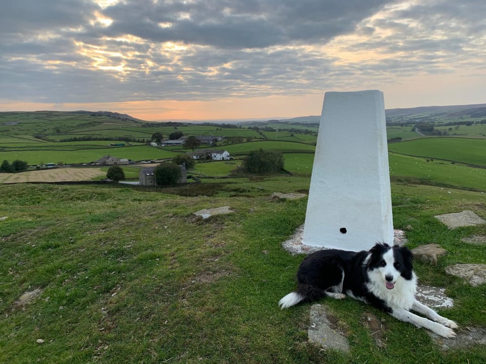 Natural landscape, Pets