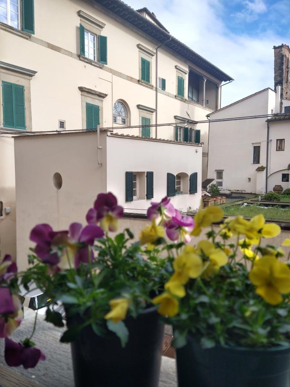 View (from property/room)