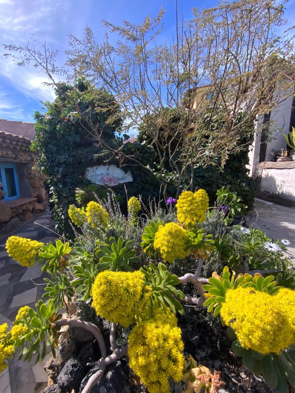 Casas ALBERTO TELEWORKING Country House in Abona
