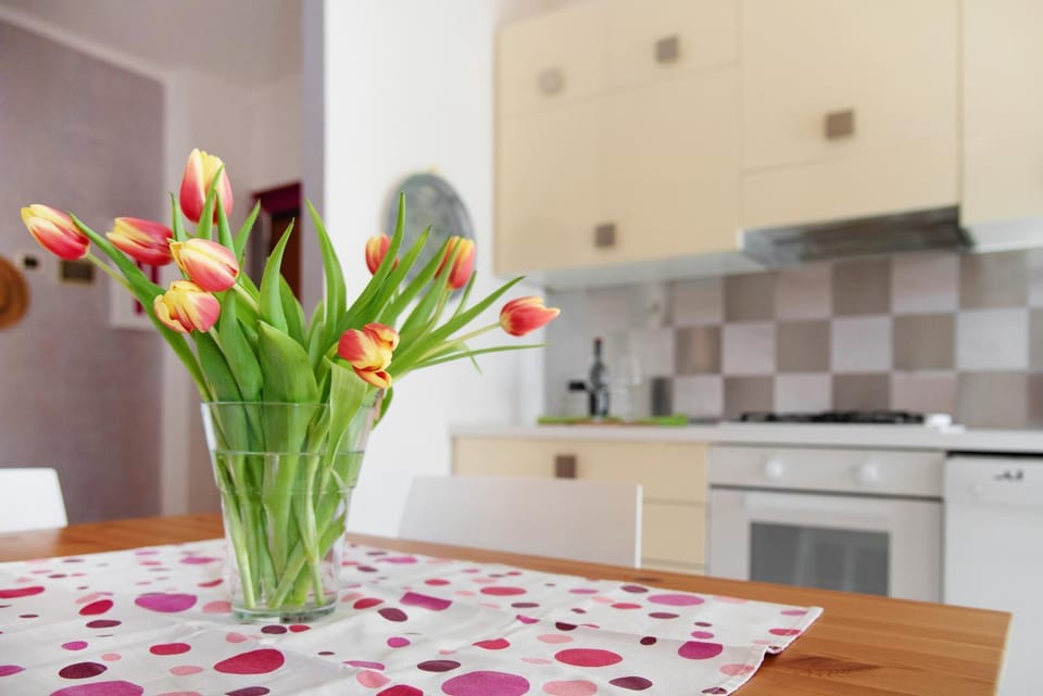 Kitchen or kitchenette, Living room