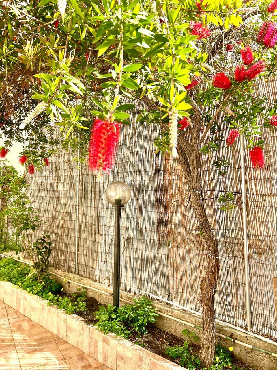 Property building, Spring, Garden, Garden view