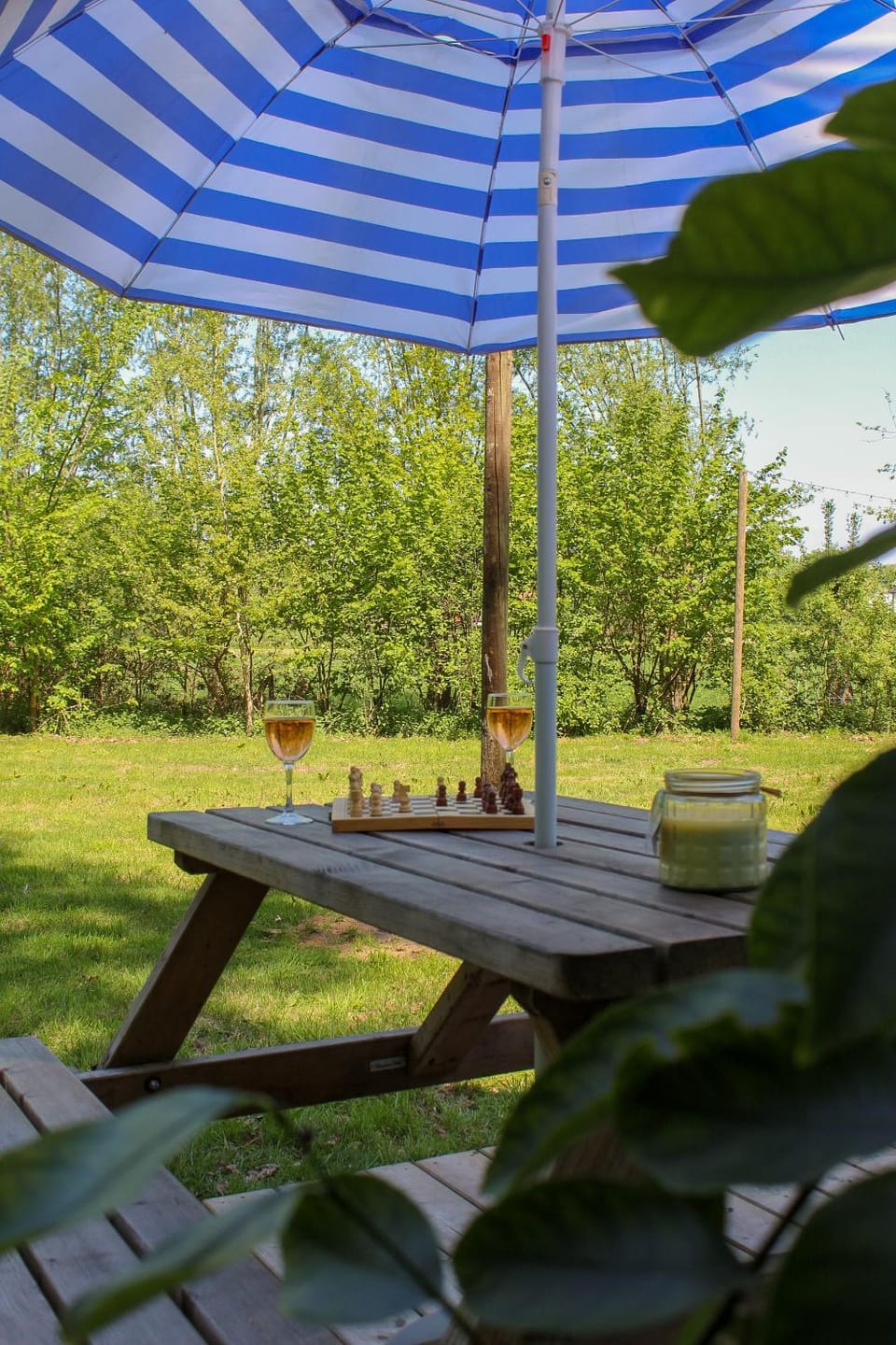 Garden, Garden, Garden view, Garden view