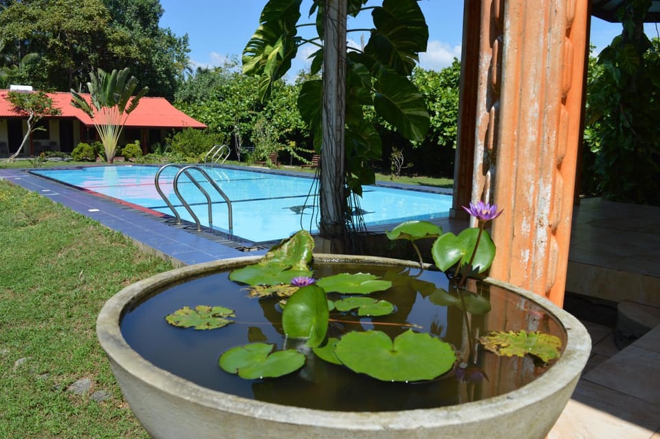 Garden, Swimming pool, Swimming pool