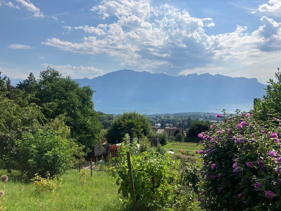 Spring, Natural landscape, Mountain view