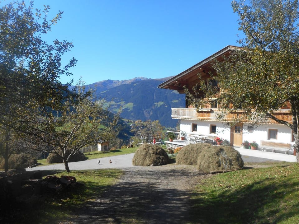 Property building, Garden, Autumn