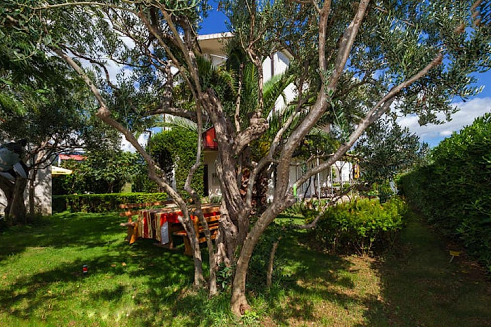 Hostel Oktarin Hostel in Šibenik-Knin County, Croatia