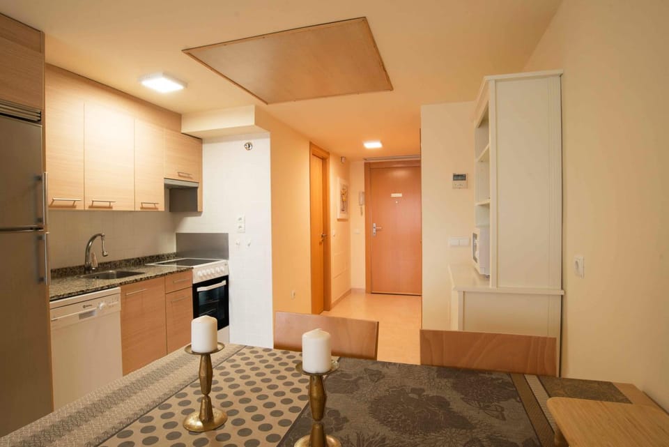 Kitchen or kitchenette, minibar, oven, pet friendly, stove, wardrobe