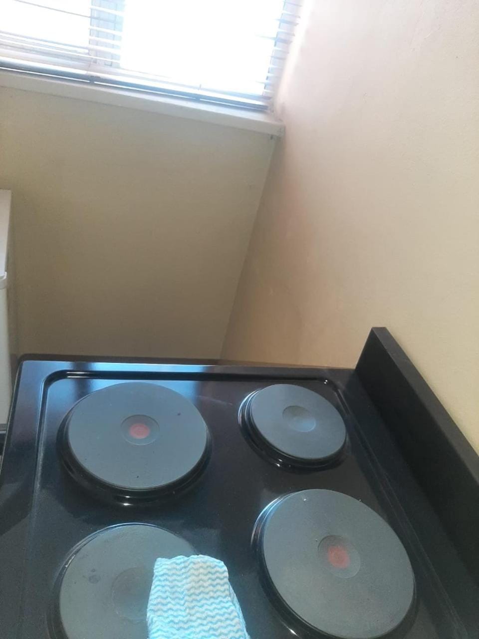pet friendly, stove