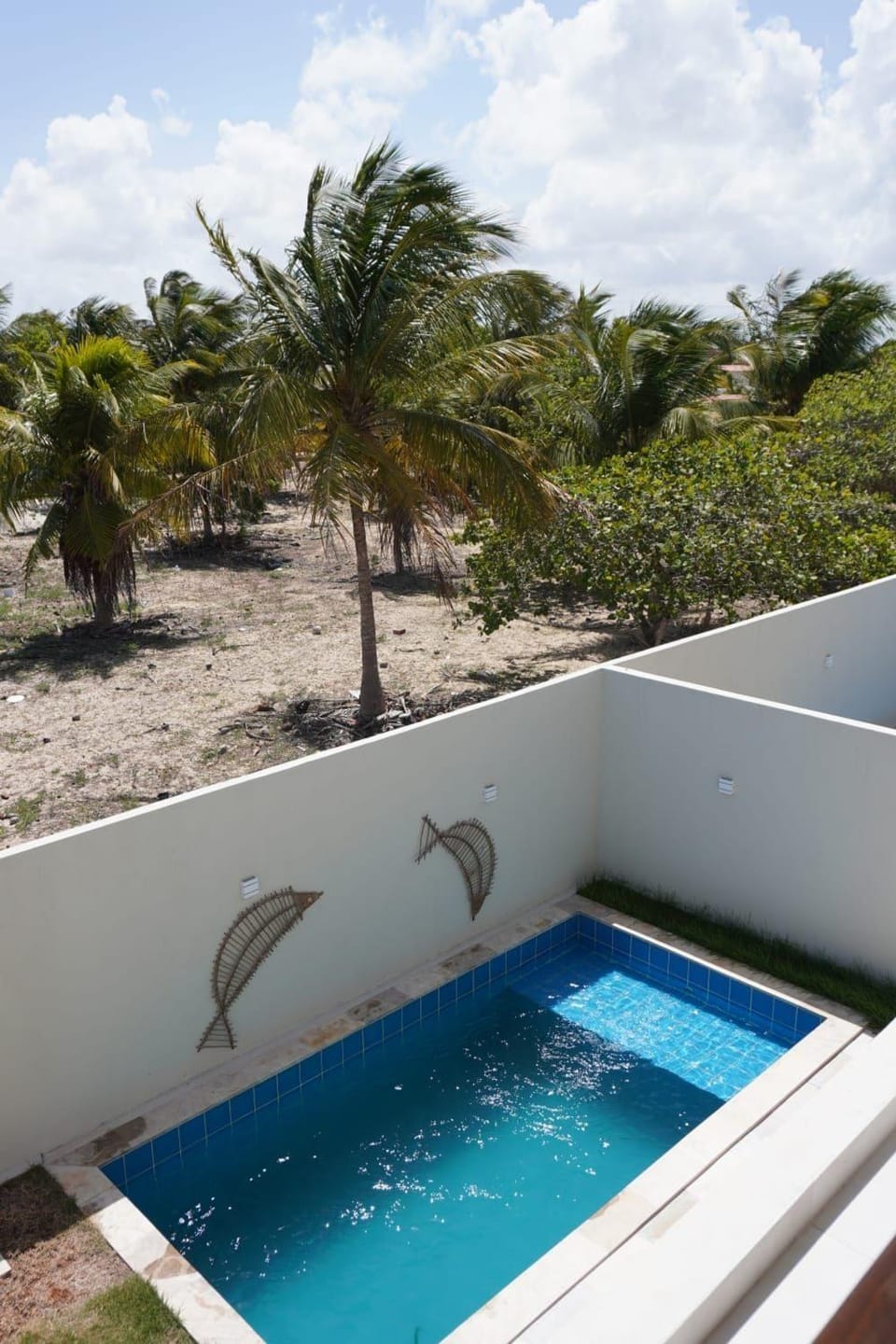 Pool view
