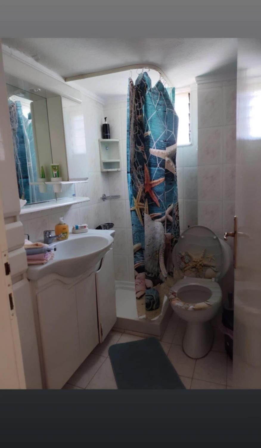 Shower, Toilet