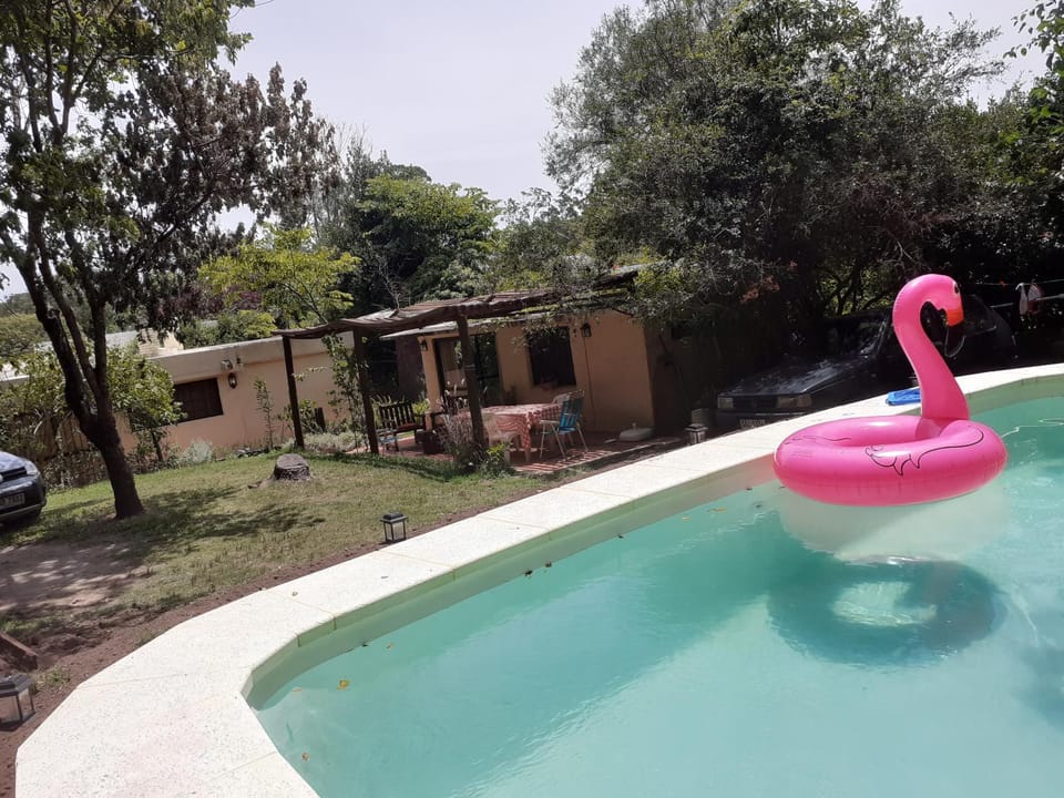 Property building, Swimming pool, Swimming pool
