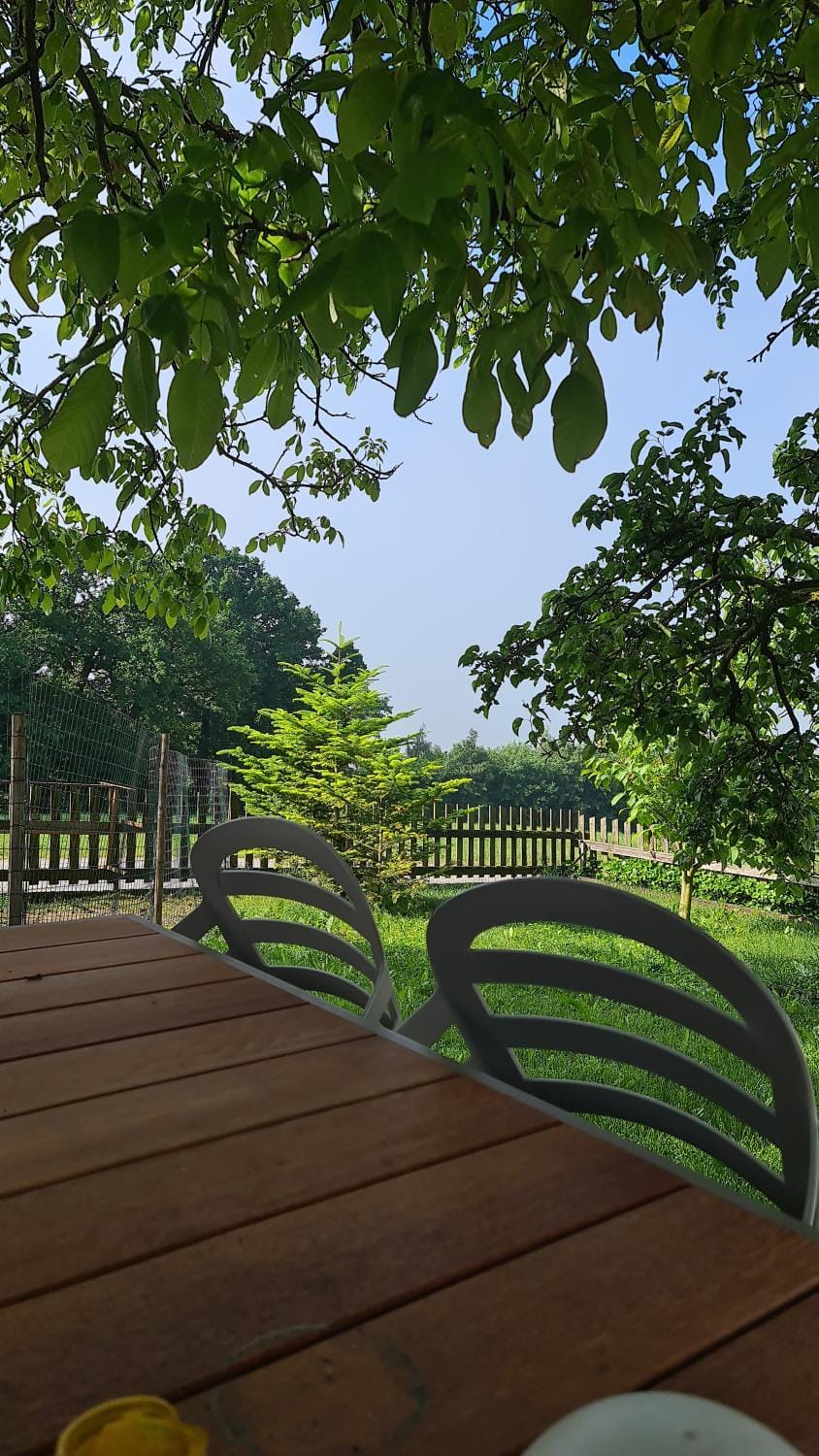 Garden, Balcony/Terrace