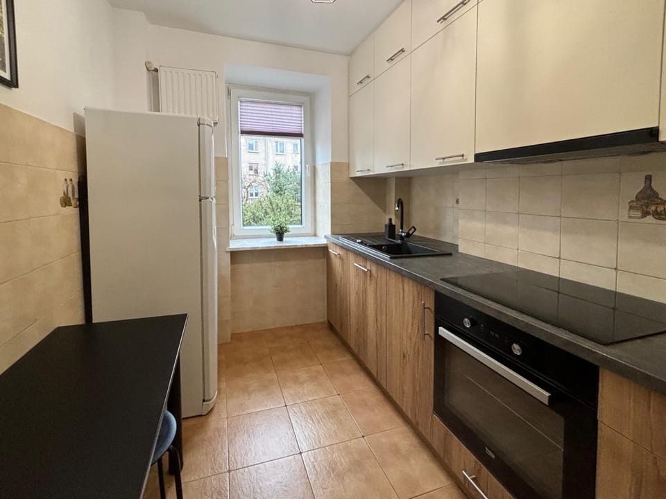 Kitchen or kitchenette, dishwasher, stove