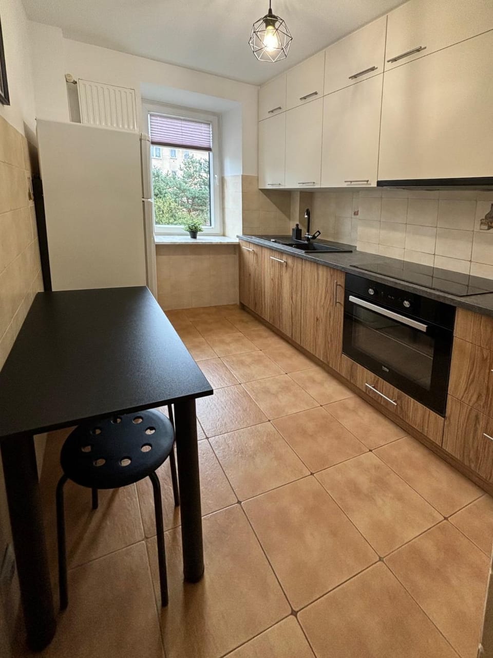 Kitchen or kitchenette, dishwasher, stove