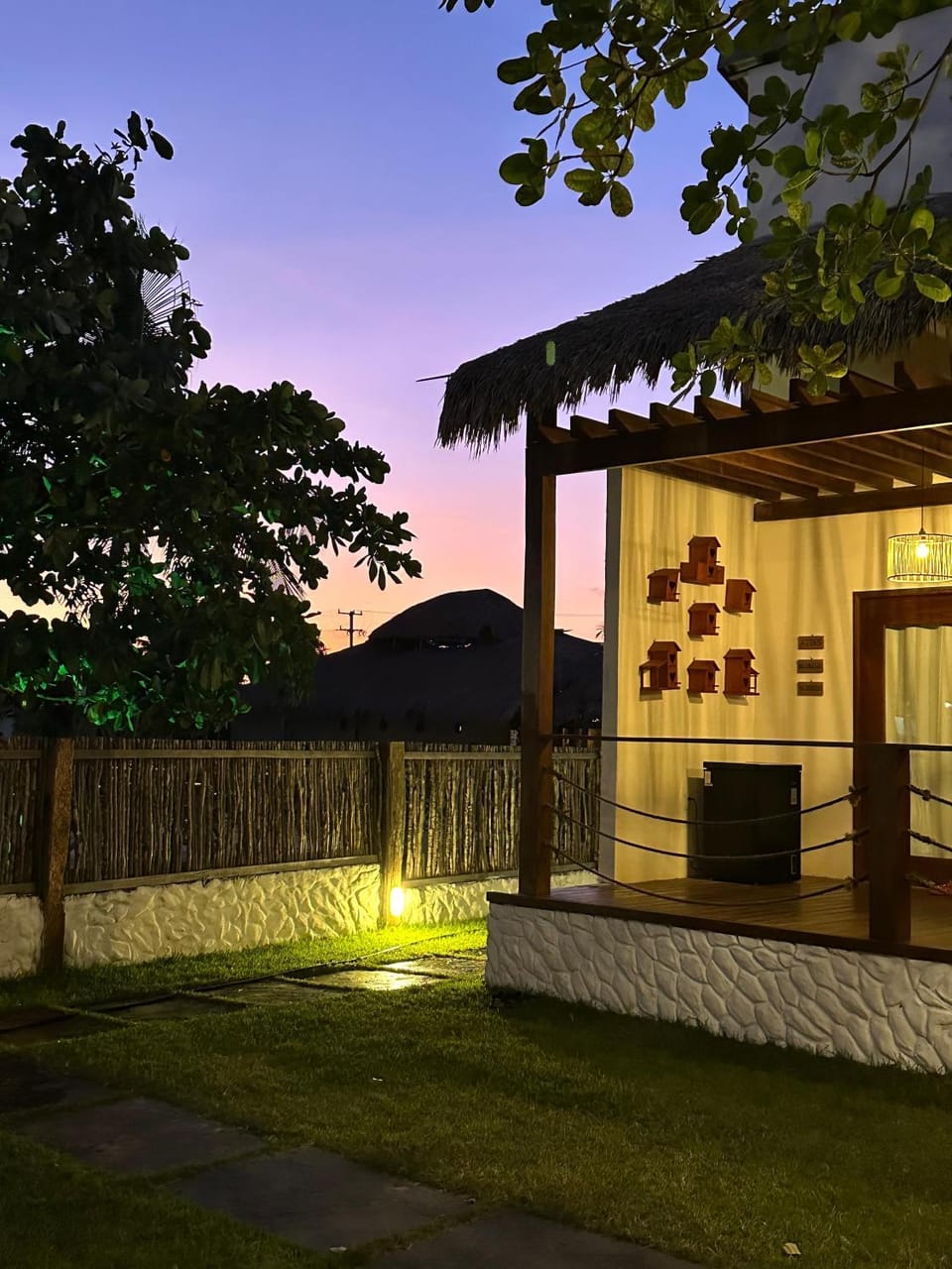 Night, Garden, Garden view