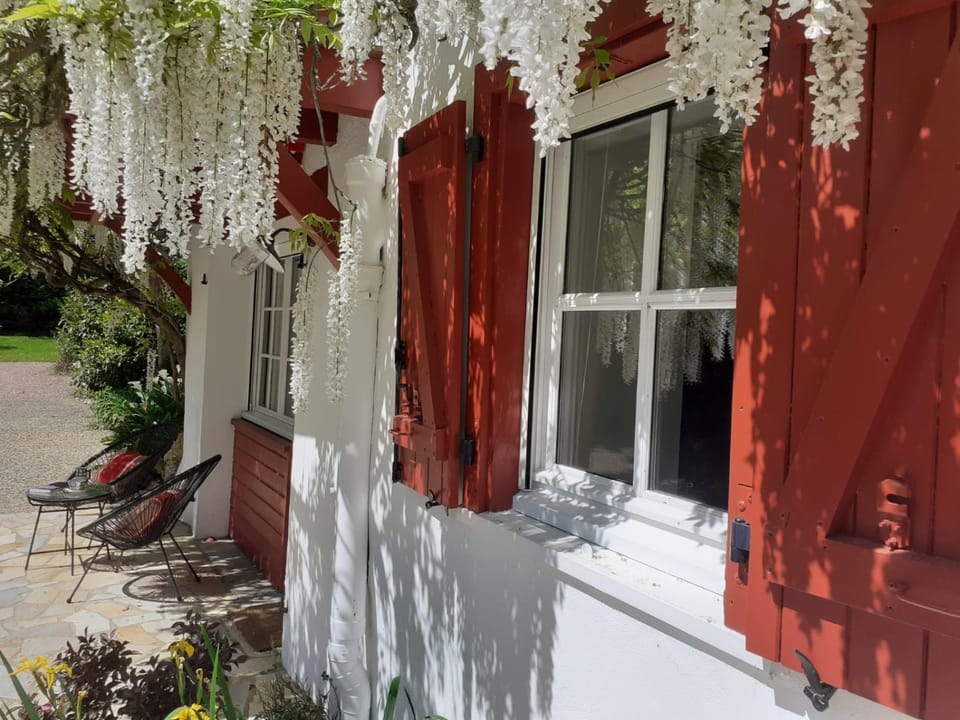 Patio, Spring, Balcony/Terrace