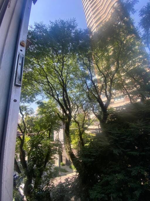 Natural landscape, Garden view
