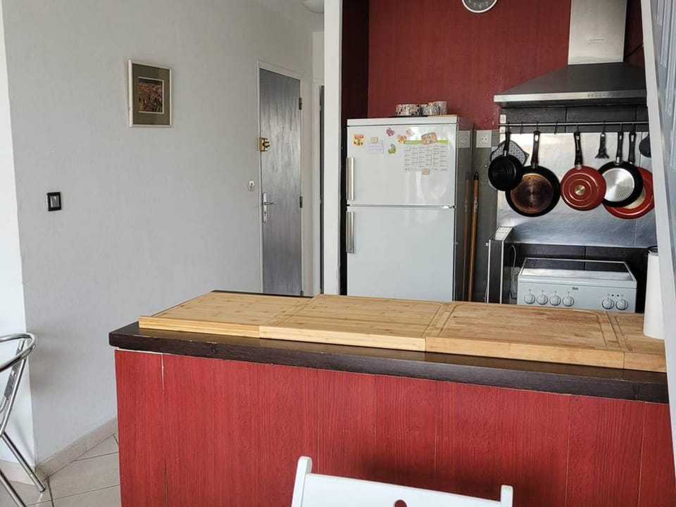 Magnifique F2 Mezzanine avec terrasses et parking à Palavas - FR-1-559-32 Apartment in Palavas-les-Flots