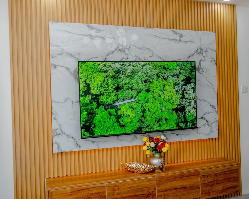 TV and multimedia