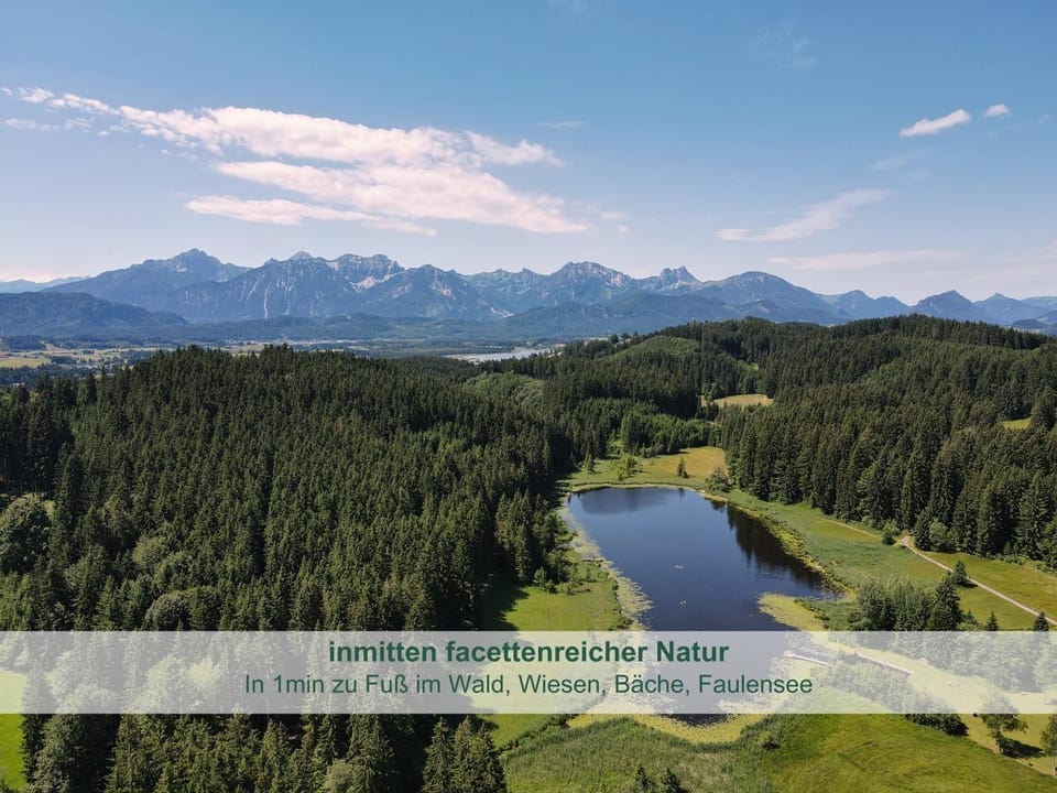 Activities, Activities, Bird's eye view