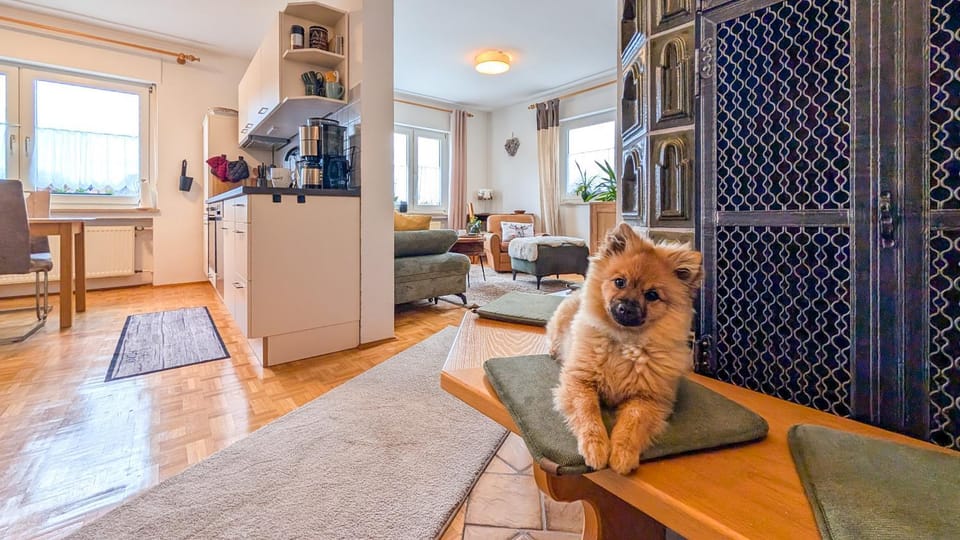 Living room, Seating area, Pets