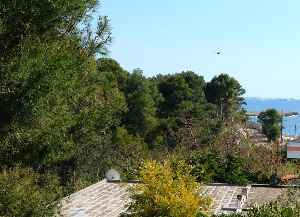 Day, Neighbourhood, Natural landscape, Sea view