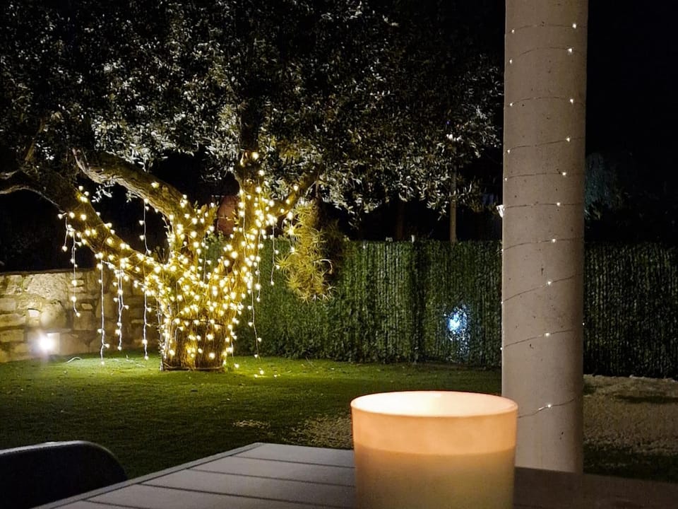 Night, Garden, Garden view