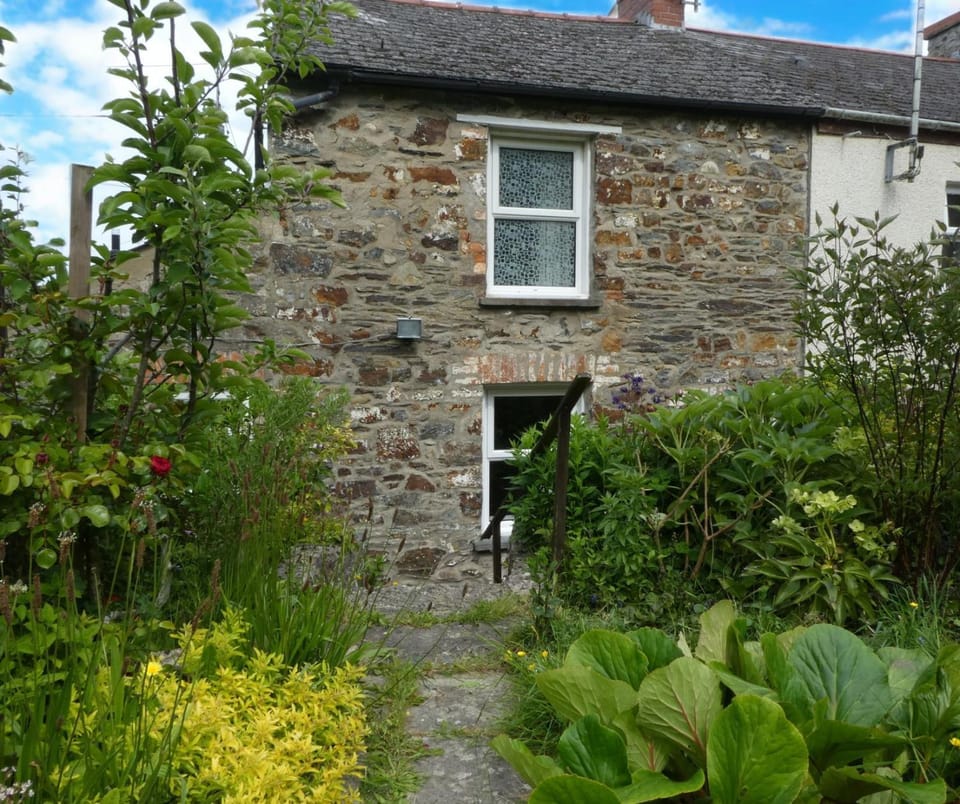Property building, Day, Garden