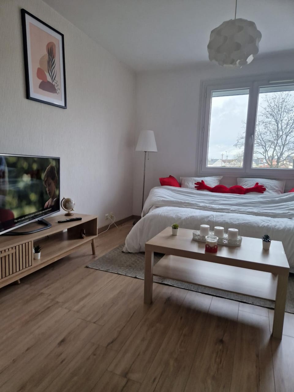 Photo of the whole room