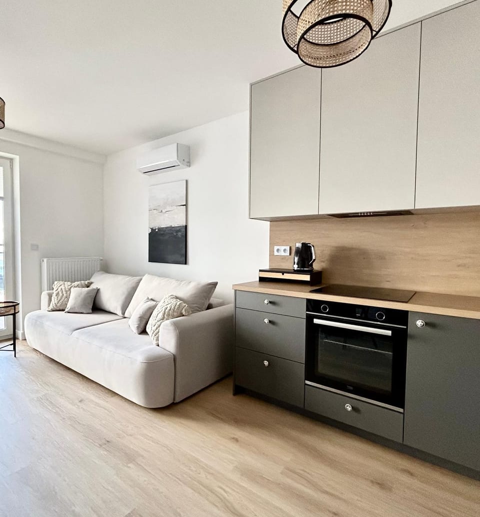 Kitchen or kitchenette, Living room, Photo of the whole room, Seating area, stove