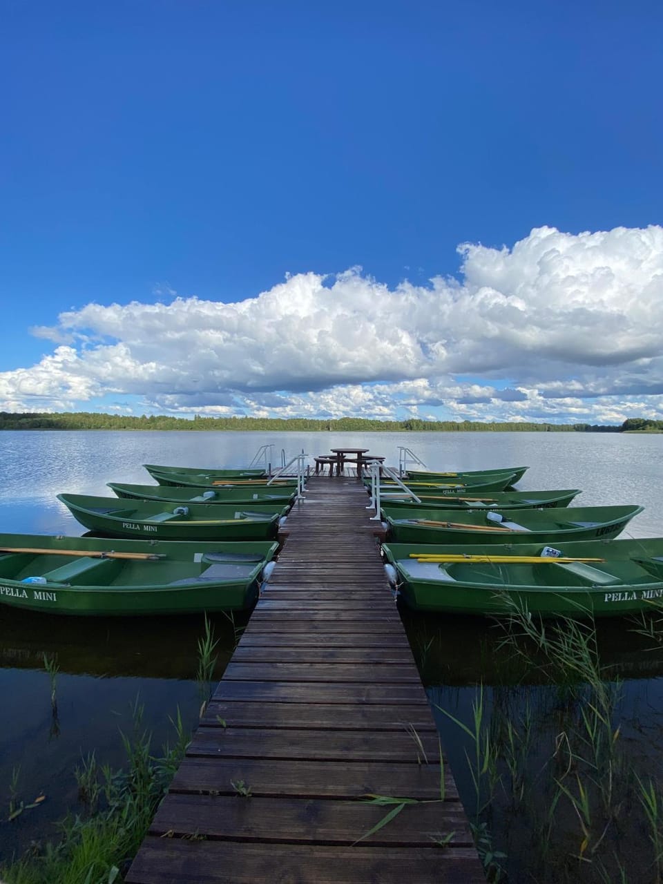 Jaundzirnieki Campground/ 
RV Resort in Latvia