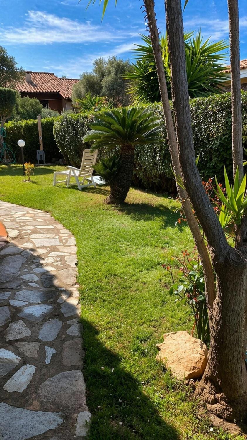 Garden, Garden view, sunbed