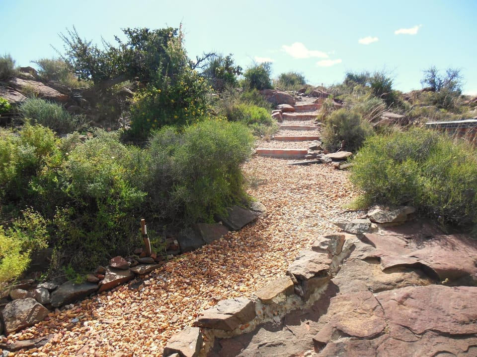Natural landscape