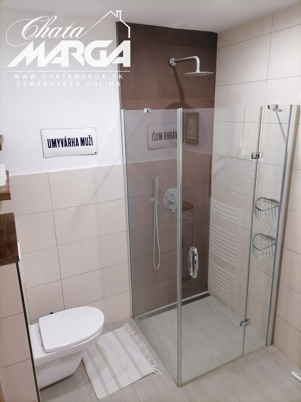 Shower, Toilet, Bathroom, Decorative detail
