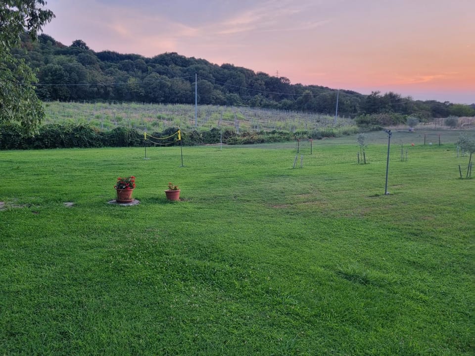Agriturismo Case in Collina Farm Stay in Province of Brescia