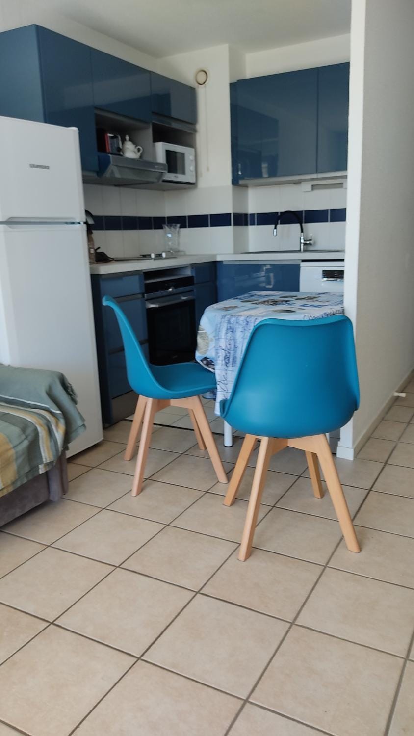 Kitchen or kitchenette, minibar, pet friendly