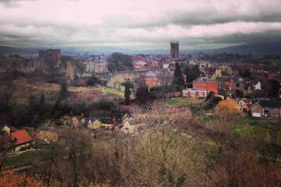 2 Lower Raven Lane, Ludlow House in Ludlow