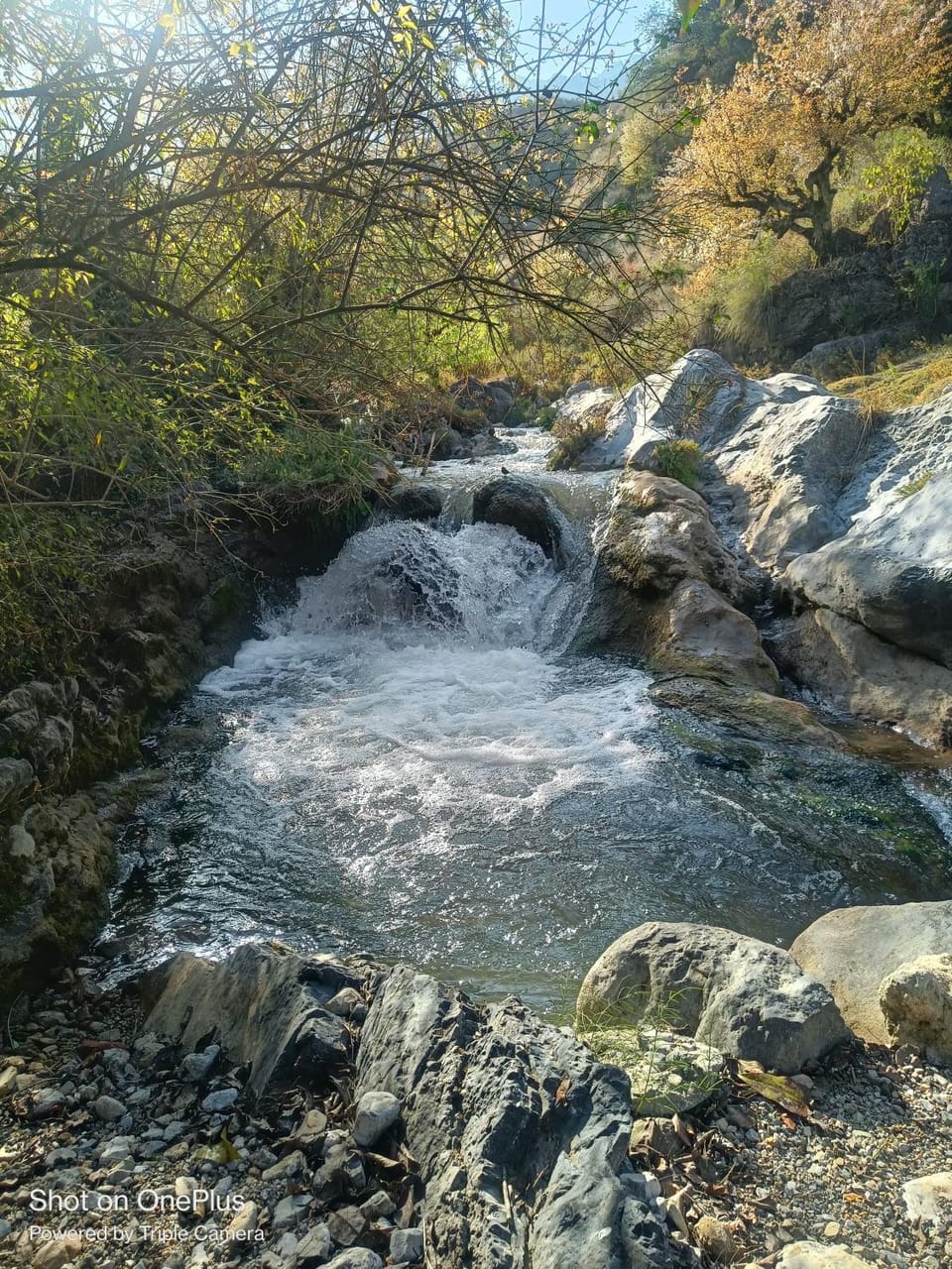 Rivulet Resort & Camping Hotel in Uttarakhand