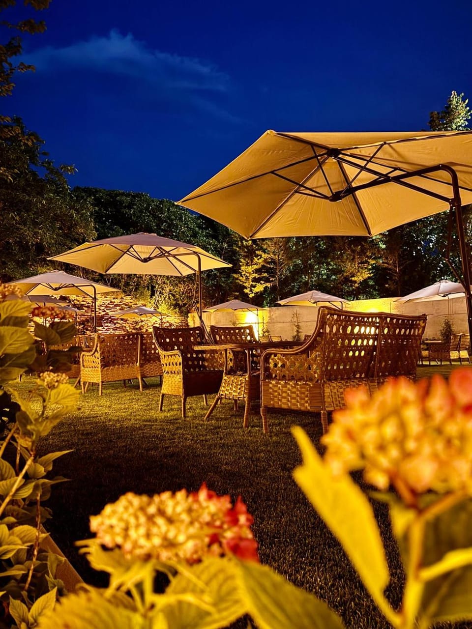 Night, Garden