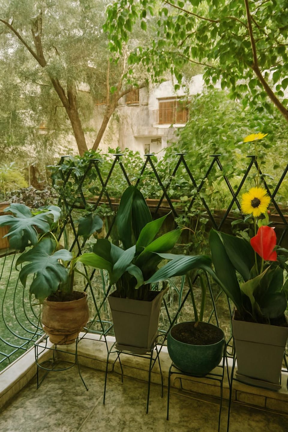 Garden view