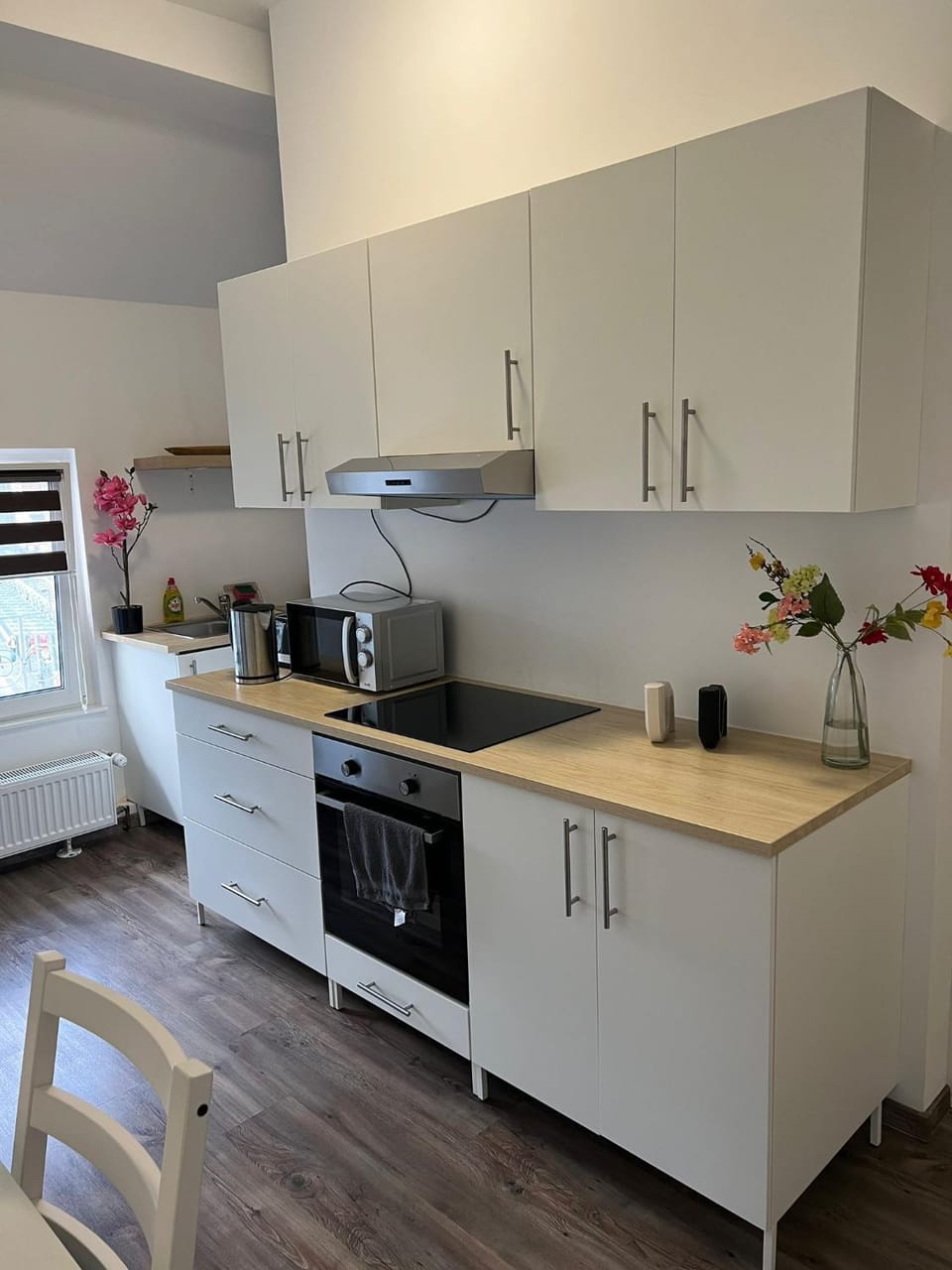 Kitchen or kitchenette, minibar, pet friendly, stove